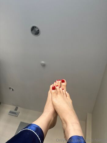 alice.feetze