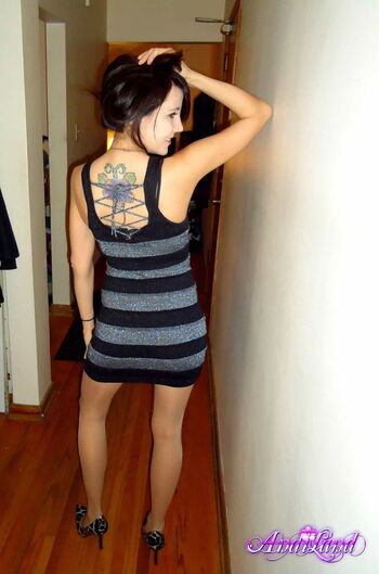 Andi Land