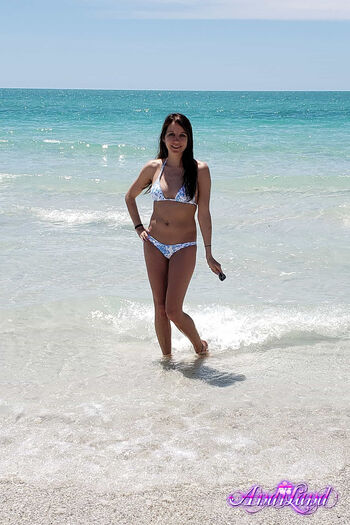 Andi Land