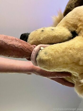angel_pups