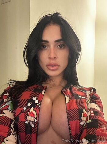 ans_leey