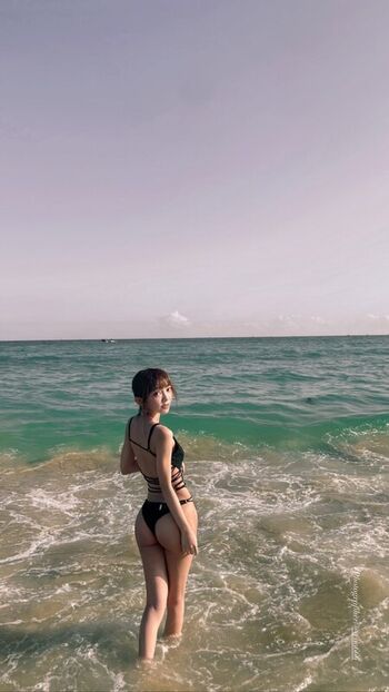 Anshia_flower