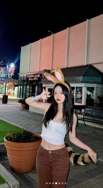 arii.iz