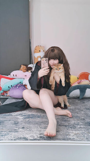 KittyKlaw
