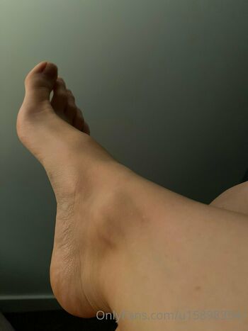 barefootlibran