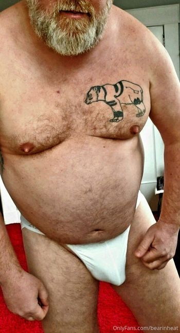 bearinheat