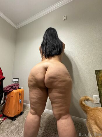 BellaBun Bo Bae