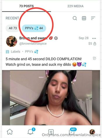 brownlatinaspice