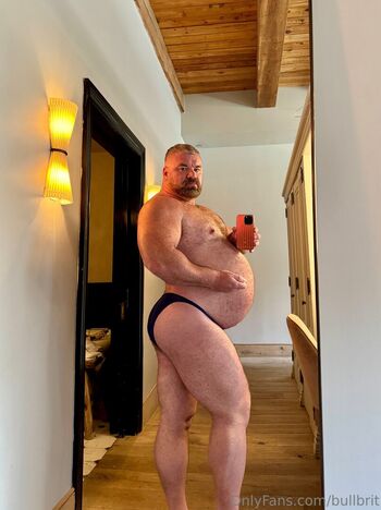 bullbrit