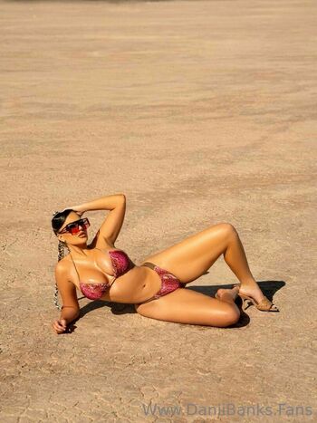 daniibanksvip