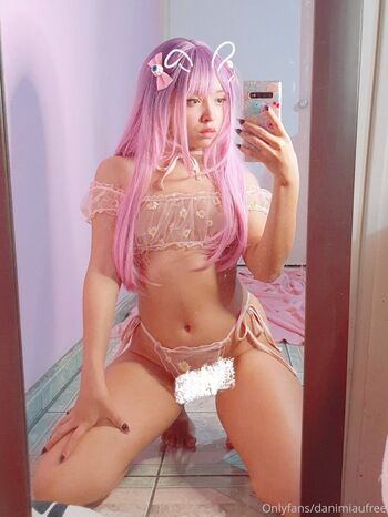 danimiausita