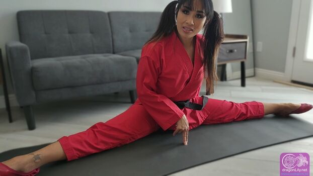 dragonlily_net