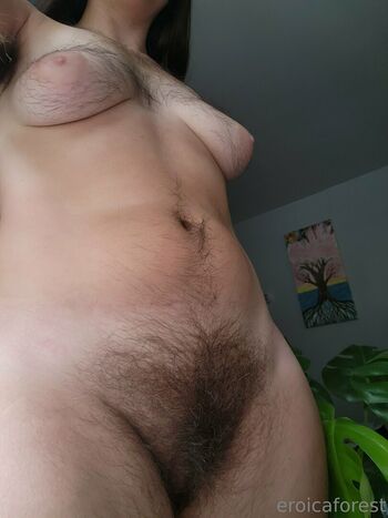 eroicaforest