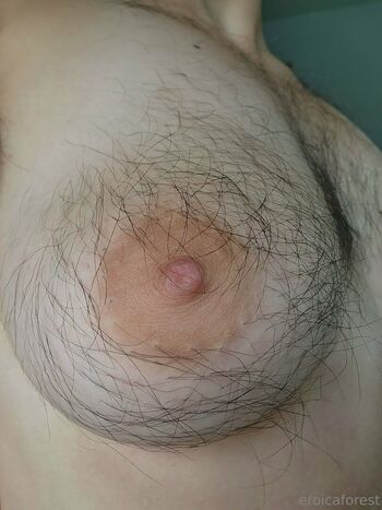 eroicaforest
