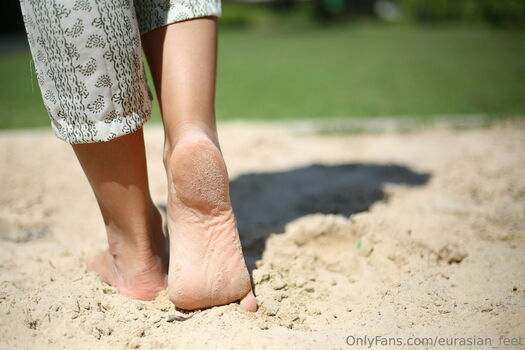 eurasian_feet