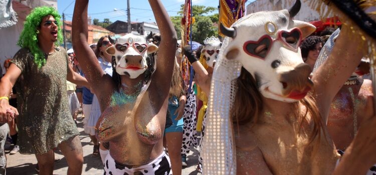 Flagras Carnaval
