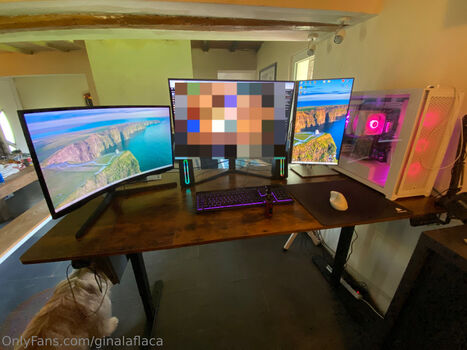 ginalaflaca