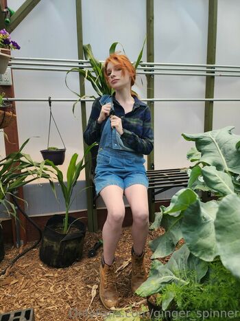 GingerXSpinner