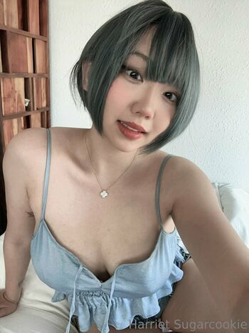 Harriet Sugarcookie