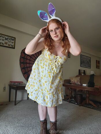 imgingersnap