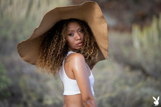 Jossa Nova