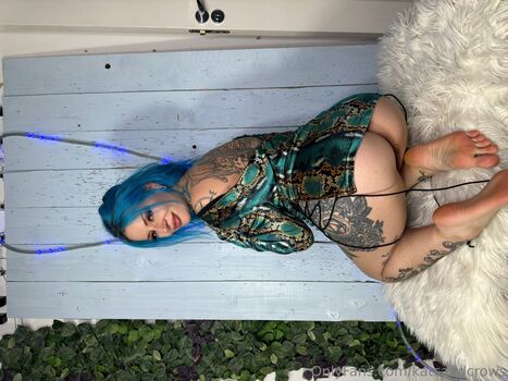Katsandcrows