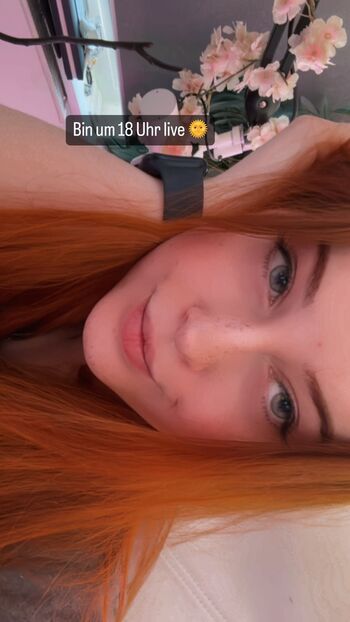 KDRkitten
