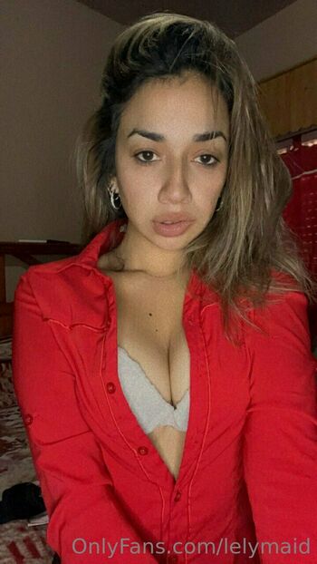 lelymaid