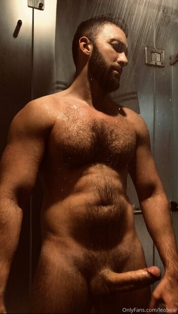 leobear