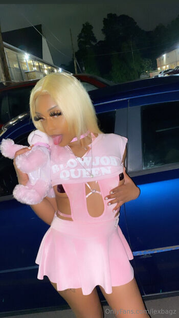 lexbagz