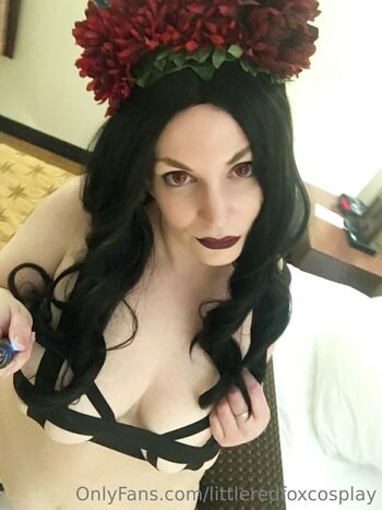 Littleredfox