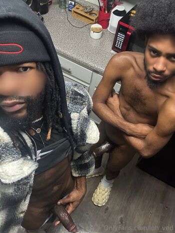 luh_ved