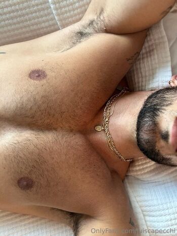 luiscapecchi