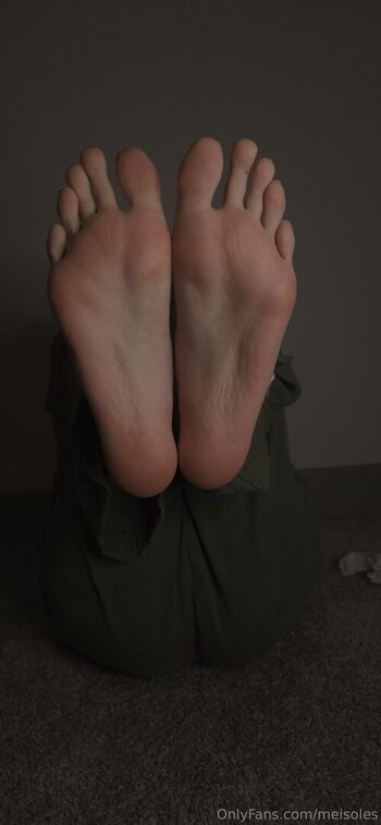 meisoles