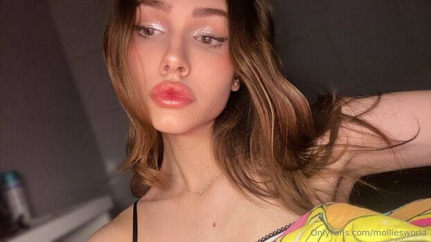 molliesworld