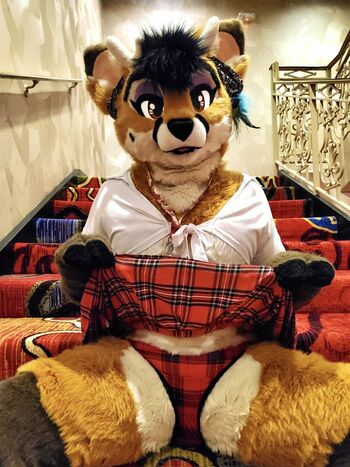 Murrsuit