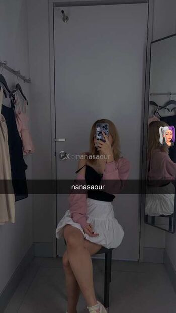 nanasaour