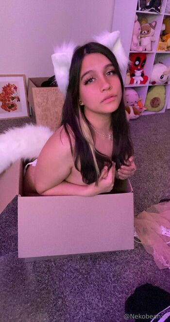 nekobeanbb