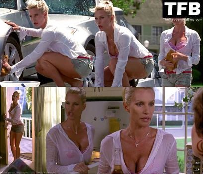 Nicollette Sheridan
