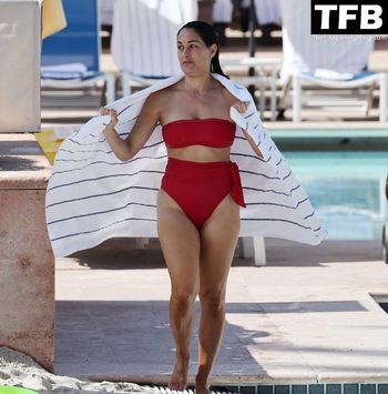 Nikki Bella