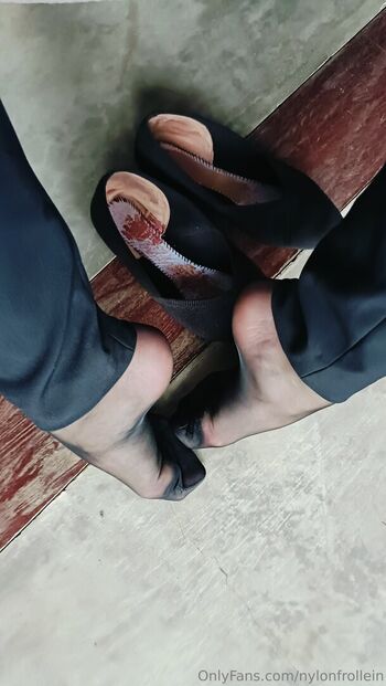 nylonfrollein