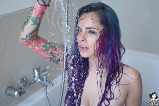 paloma