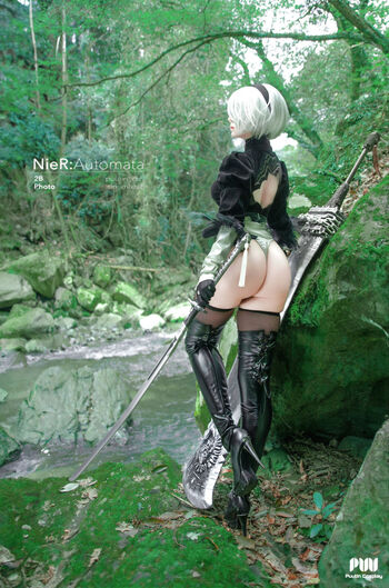 Puutin_cos