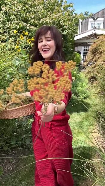 Rachel Brosnahan