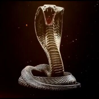 RealKingCobra