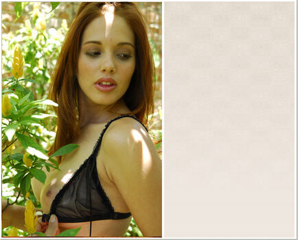 Revista Trip