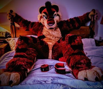 saberspice
