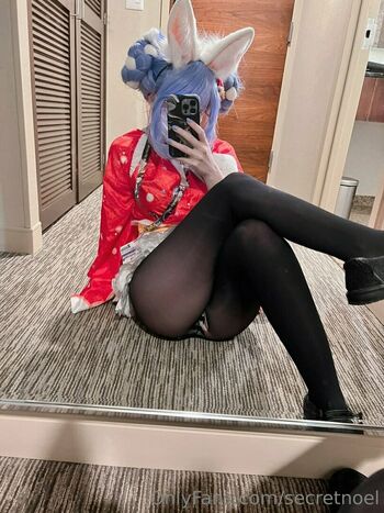 secretnoel