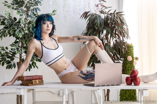 shibari-kitten