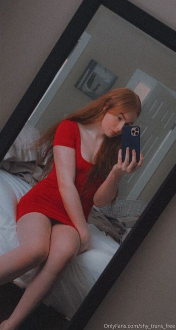shy_trans_free